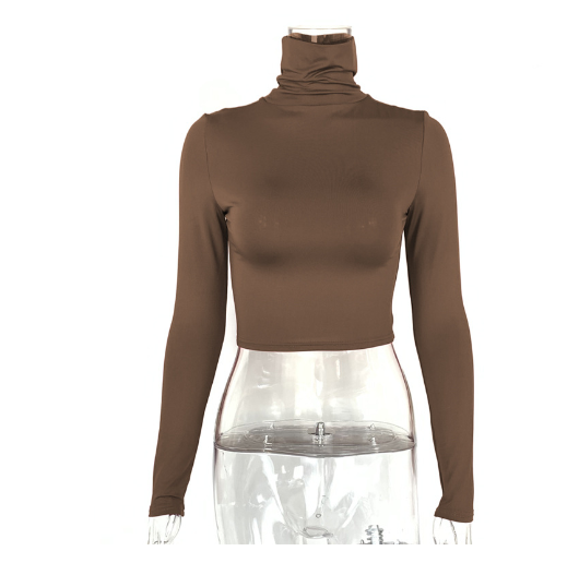 Slim Fit Turtleneck Crop Top