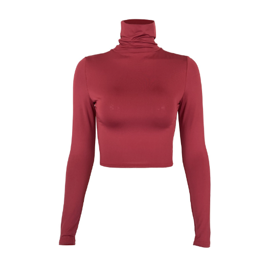 Slim Fit Turtleneck Crop Top