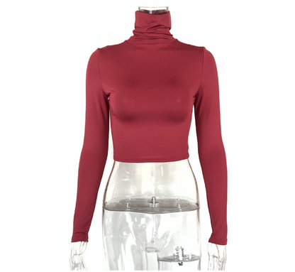 Slim Fit Turtleneck Crop Top