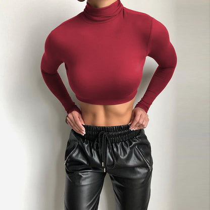 Slim Fit Turtleneck Crop Top