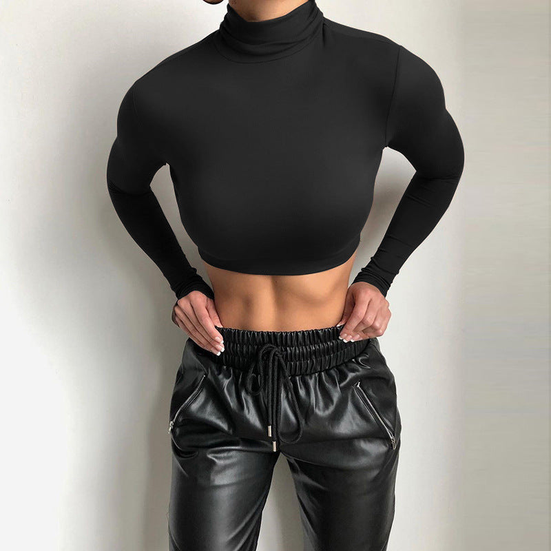 Slim Fit Turtleneck Crop Top