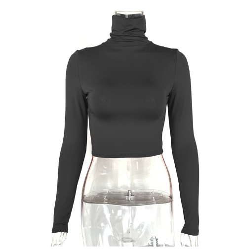 Slim Fit Turtleneck Crop Top