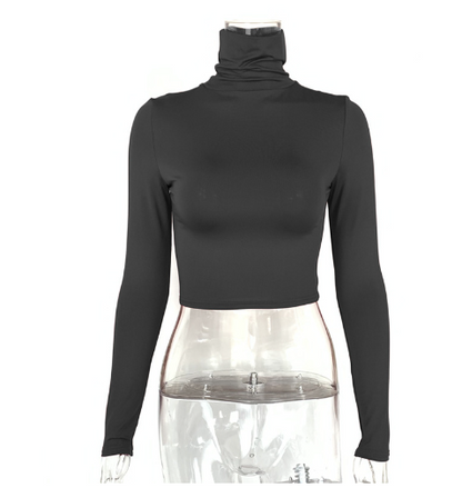 Slim Fit Turtleneck Crop Top